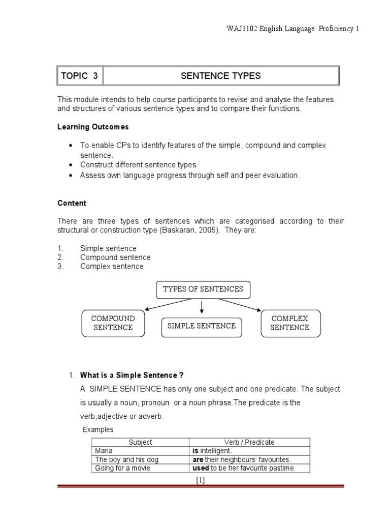 Topic 3 Sentence Types | PDF