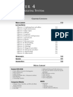 Musculoskeletal System