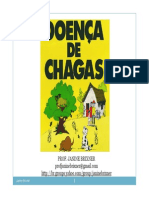 AULA 9 Doença de Chagas