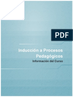 infoCursoIPP