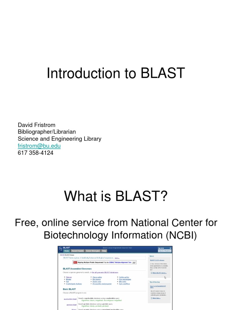 Blast Introduction Pdf