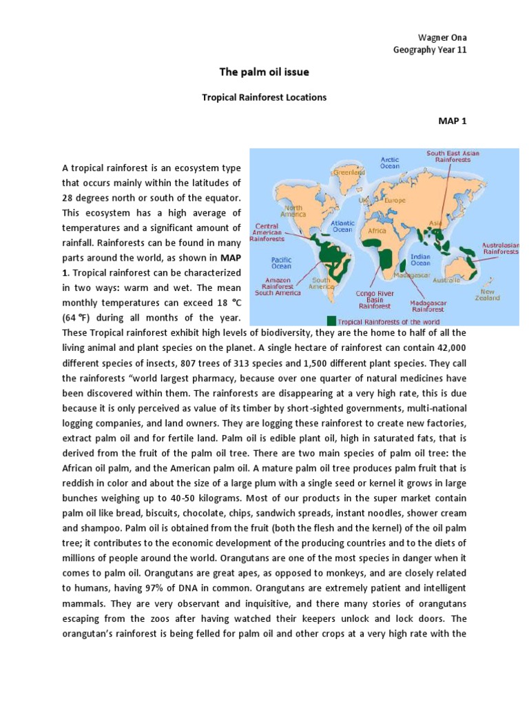 Thesis palm 06 picture