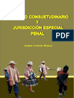 Derecho Consuetudinario y Jurisdicción Especial Penal