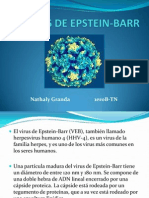 El Virus de Epstein-Barr