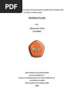 Download NEFROLITIASIS DAN HIDRONEFROSIS by Silviana Sari SN203465815 doc pdf