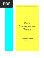 Download Information on Pure Common Law Trusts by Brenda SN20347158 doc pdf