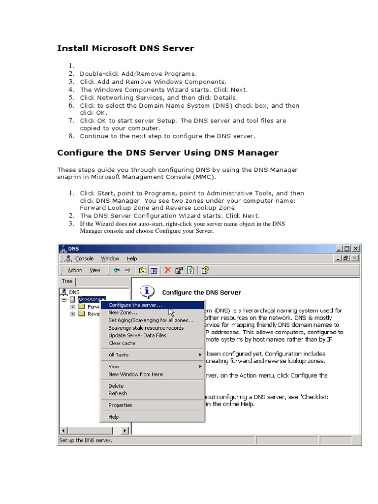 DNS History PDF Domain Name System Server