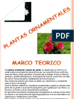 Plantasornamentales 120422212333 Phpapp02