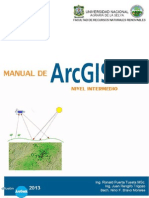 Manual ArcGis Intermedio 10