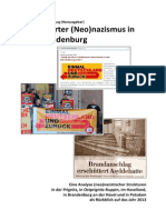 Organisierter Neonazismus in Westbrandenburg 2013 PDF