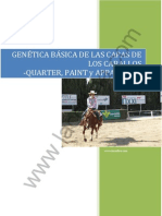 Genetica Basica Dels Colors de Capa Dels Cavalls - Quarter - Paint - I - Appaloosa