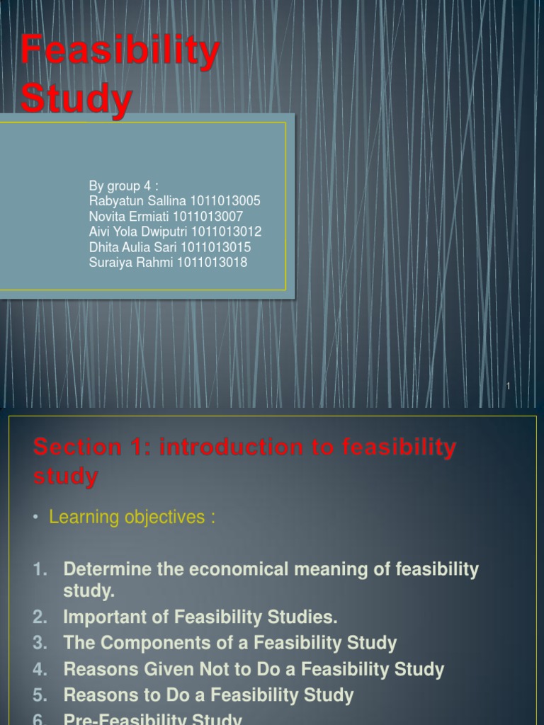 Introduction to Feasibility Studies | PDF