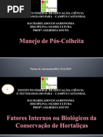 manejo pós colheita.pptx