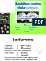 Basidiomycetes 2