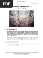 Download BudidayaBurungWalet by Helmon Chan SN203587899 doc pdf