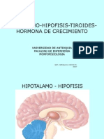 Hipo, Adeno Tiroides, GH