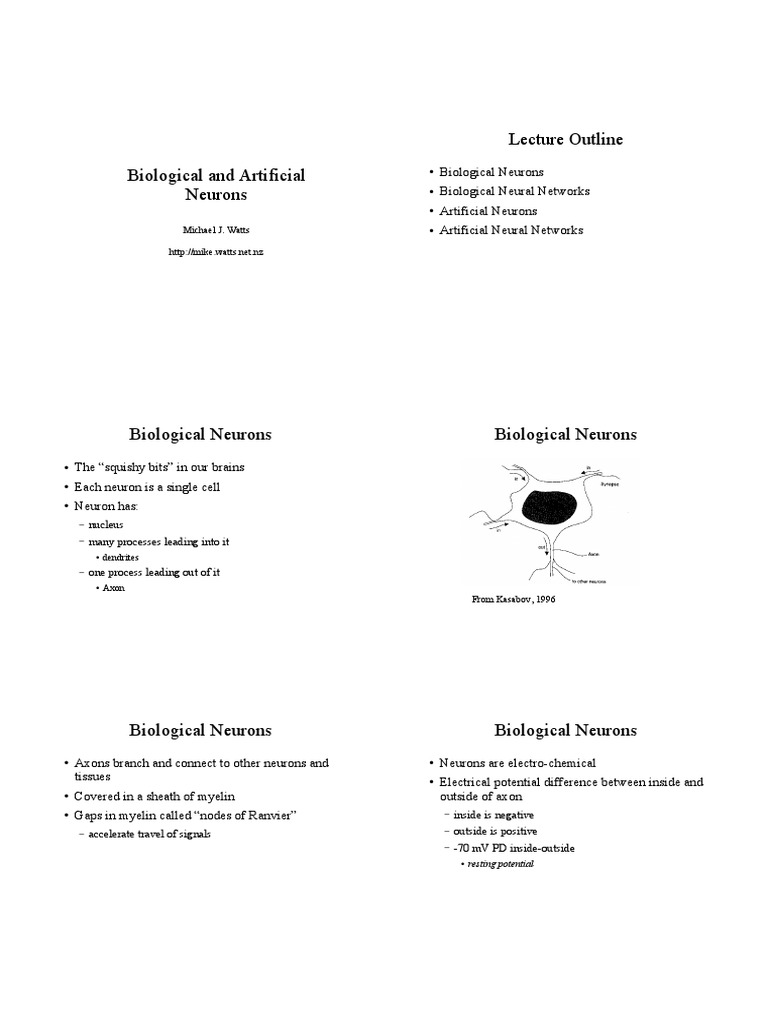 Biological and Artificial Neurons | PDF