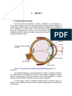 Aula 4 Biologia 8 Serie(9 Ano)