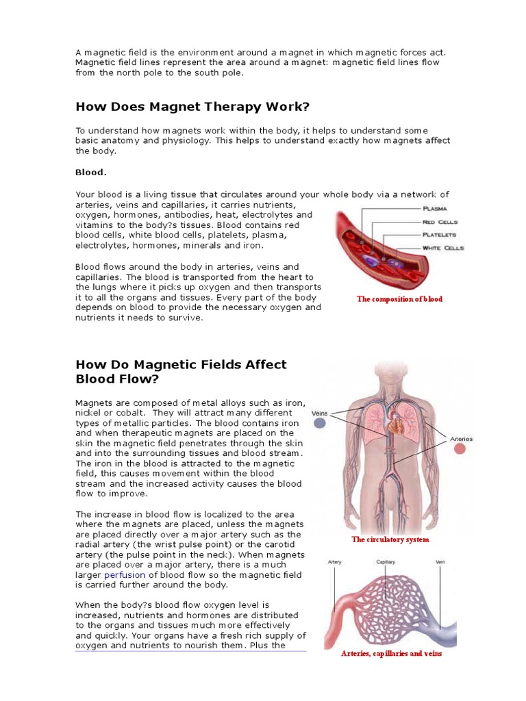 How Does Therapy Work? Blood PDF Artery Blood