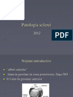 Patologia sclerei