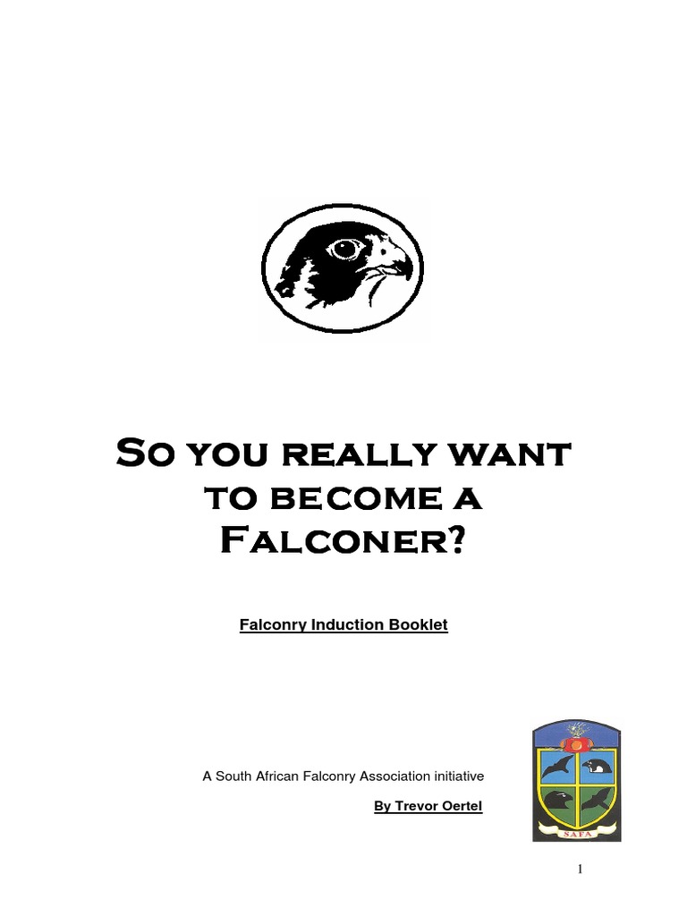Falconry PDF Falconry Hawk