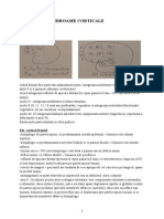 C7 Sindroame Corticale