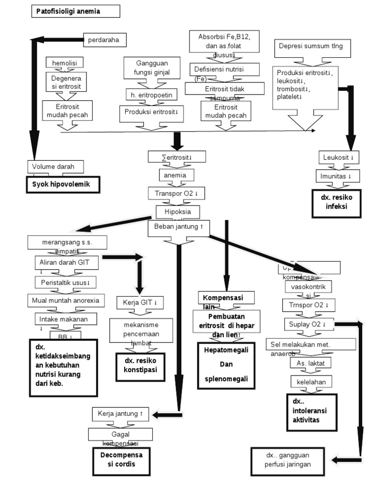 Patofisiologi Anemia dan Hemolisis | PDF