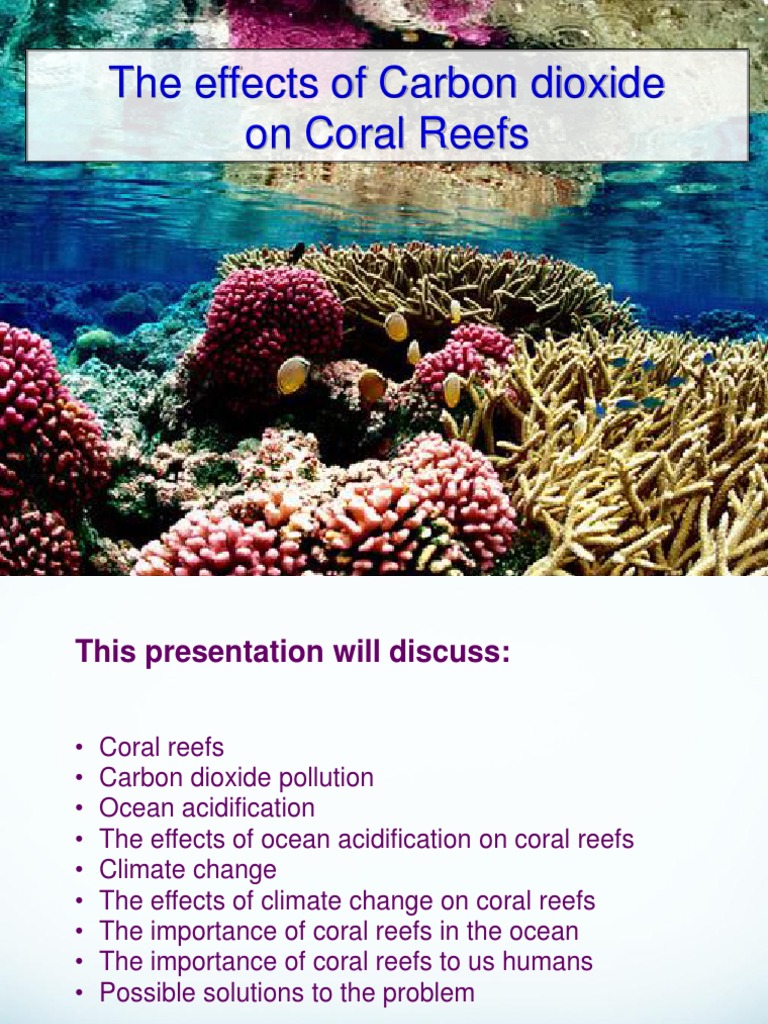 The effects of Carbon Dioxide on coral Reefs Coral Ocean Acidification