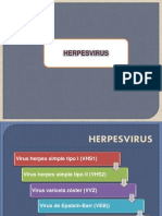 Herpes Virus