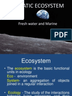 Aquatic Ecosystem Lecture 