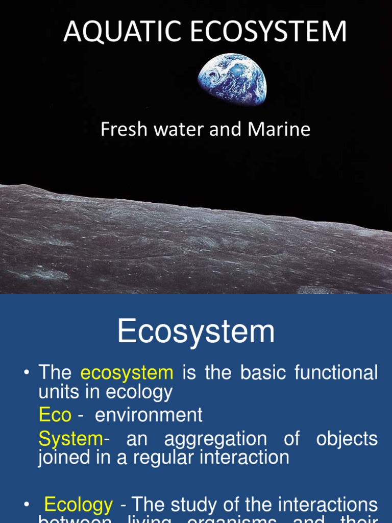 Overview of Aquatic Ecosystems | PDF | Food Web | Ecosystem