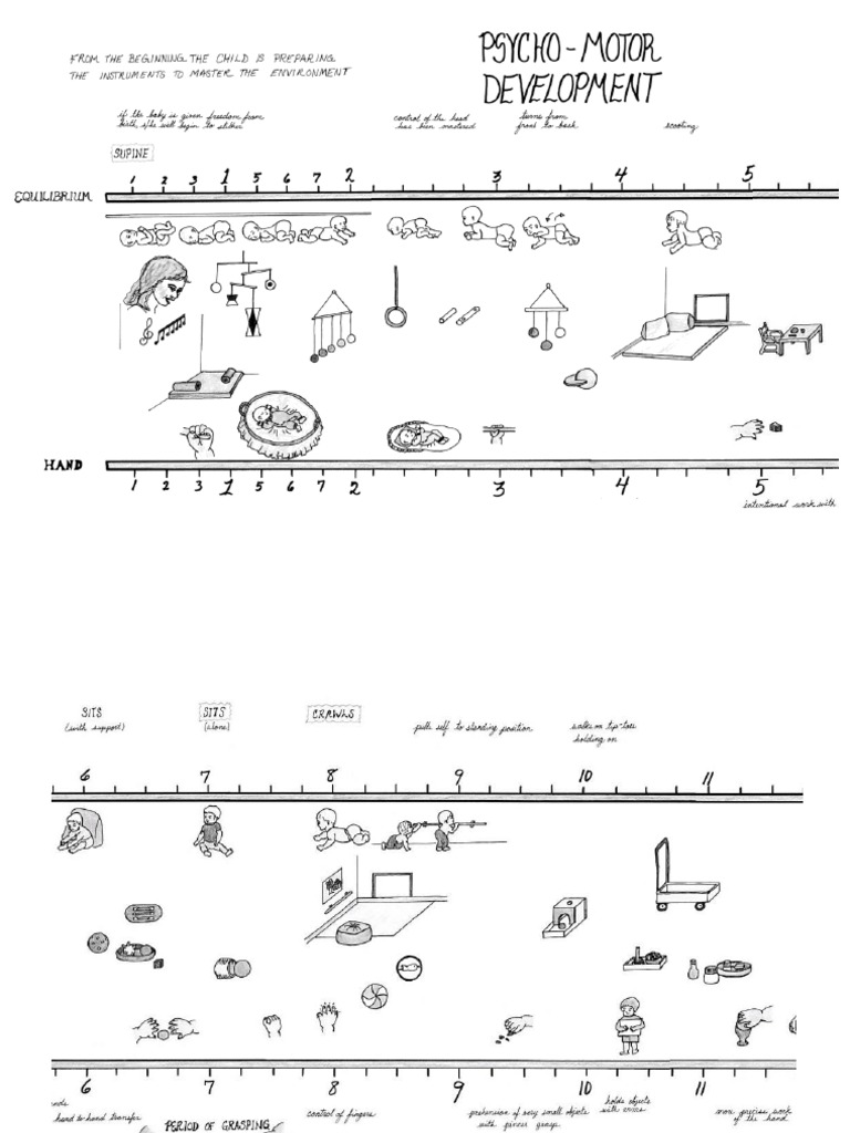 PsychoSensory Motor Development