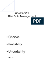 Chapter # 1 Risk & Its Management