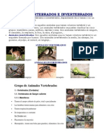 Animales Vertebrados e Invertebrados, Dg 2014