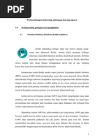 Download an Teknologi Golongan Kurang Upaya by hiadayani SN20373182 doc pdf