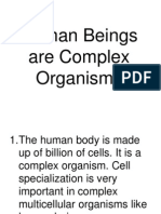 Human Beings Are Complex Organisms