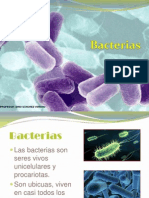 Bacterias Definicion y Clases