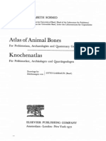 Atlas of Animal Bones