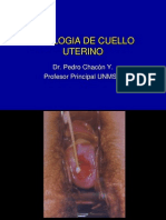 Citologia de Cuello Uterino.