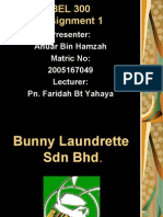 Bunny Laundrrette SDN