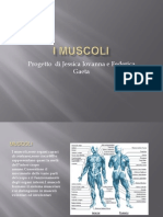 Muscoli