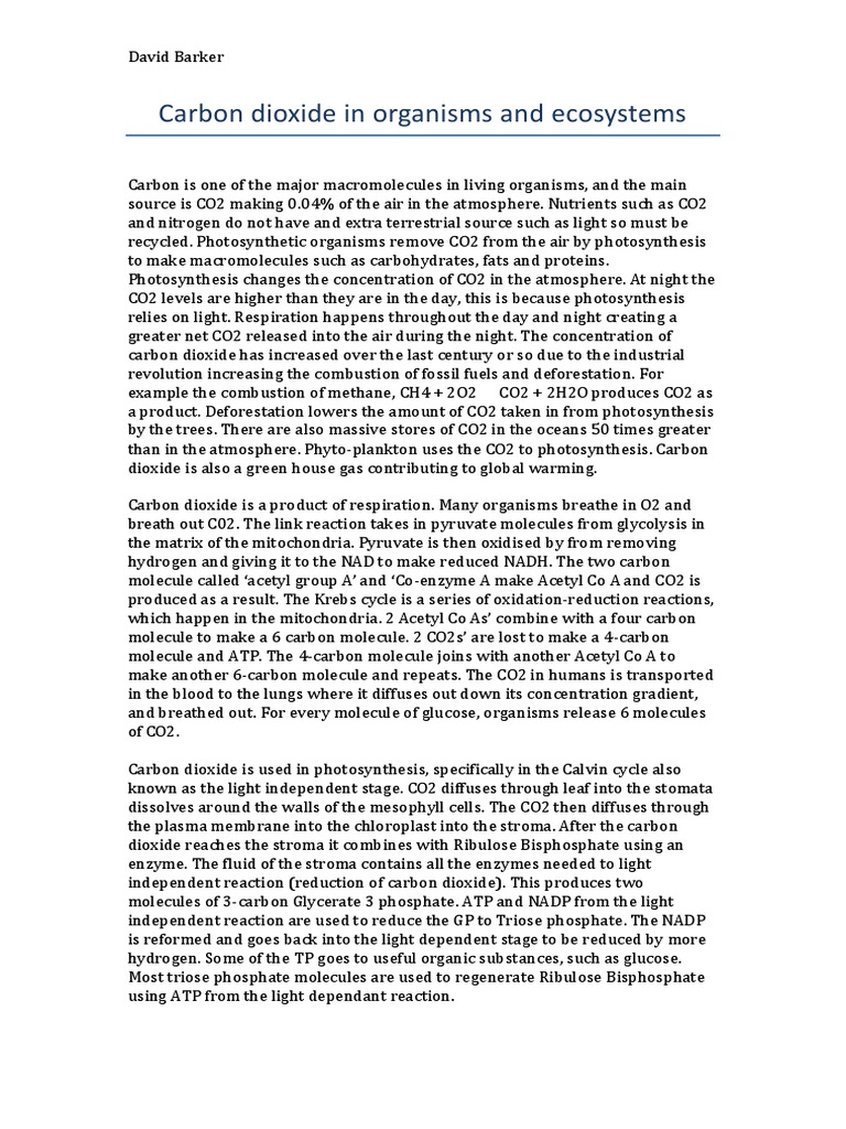 Who sells carbon paper picture