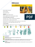 Maiz - Cartilla 03 Condiciones Agroclimaticas Del Cultivo Del Maiz