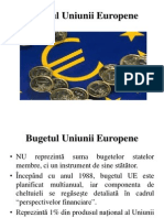 Curs 5. Bugetul Uniunii Europene