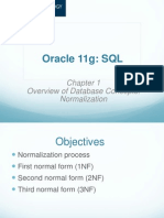 Chapter 1 Summary Normalization