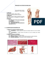 5.Sistema Muscular