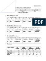 Compliance Audit Report Format