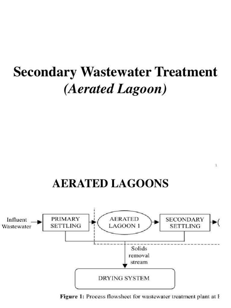 Aerated Lagoons Sewage Treatment Environmental Science