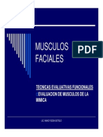 Musculos Faciles