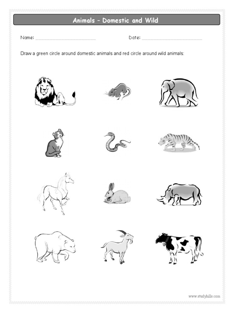 StudyHills - Animals - Domestic and Wild - Worksheet For Grade2 - EVS | PDF
